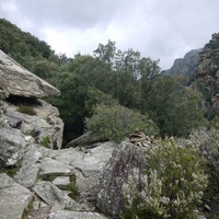 Photo de france - La randonnée du Mont Caroux